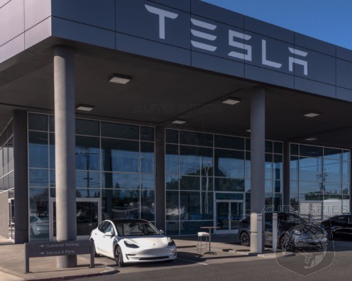 Unhinged Tesla Protestor Runs Down Musk Supporter At Idaho Rally
